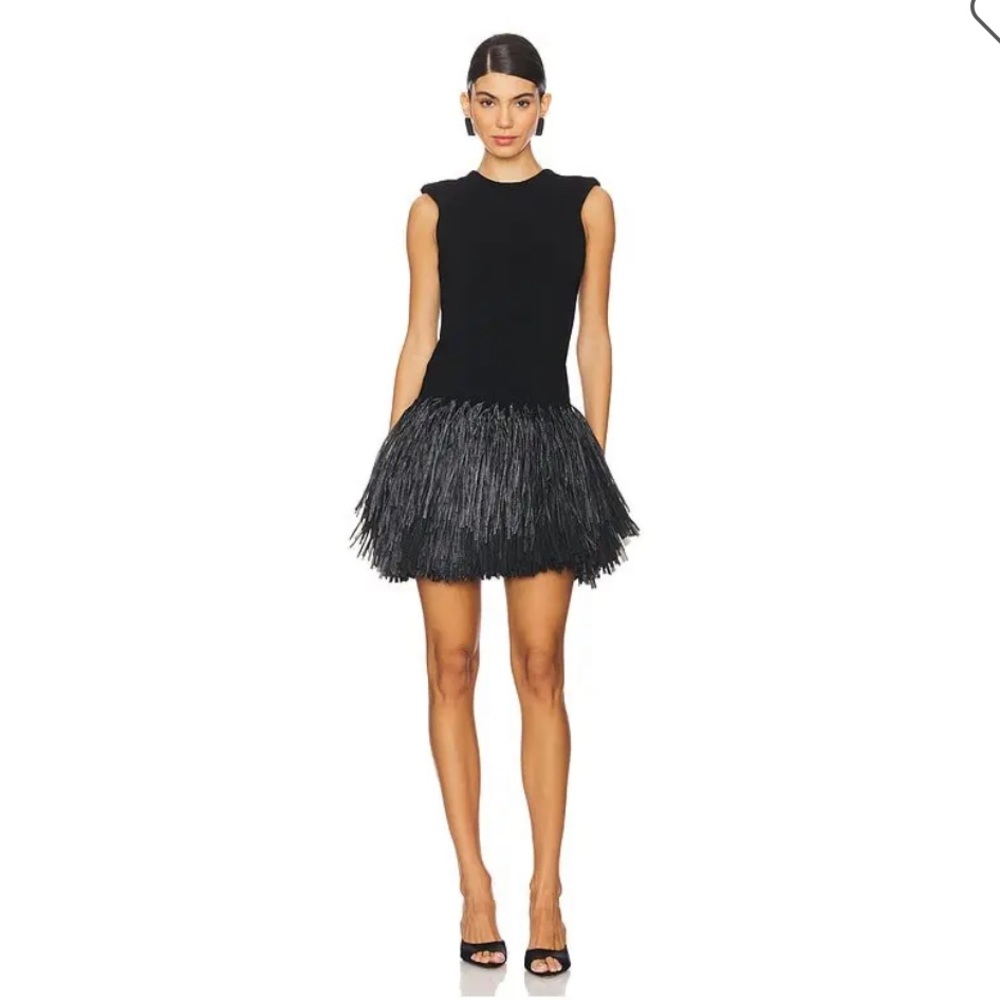 Aje Rushes Raffia Knit Mini Dress in Black